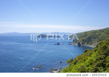 Bungo Suido 50555419