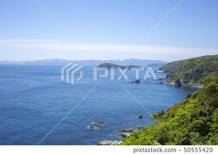 Bungo Suido 50555420