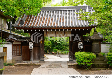 Shinagawaji 50555679