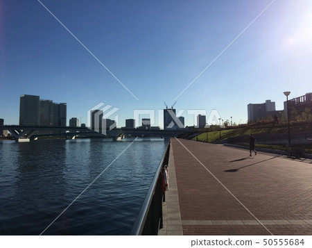 Nimble runner from morning 50555684