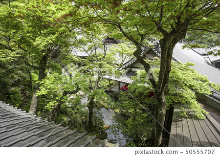 Kamishoin寺 Kamishoin寺 50555707