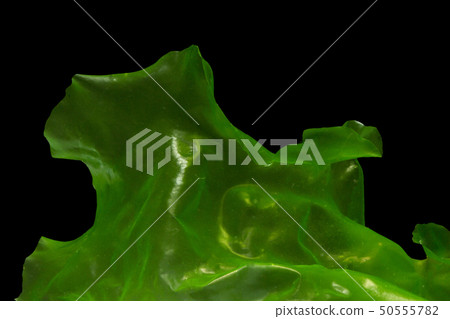 Ulva rigida isolated on black background 50555782