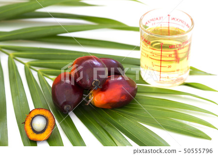 Palm Oil fruits with cooking oil and palm leaf Palm Oil fruits with cooking oil and palm leaf 50555796