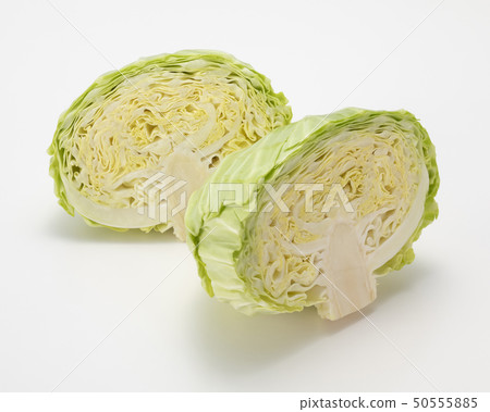 New cabbage 50555885