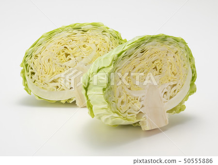 New cabbage 50555886
