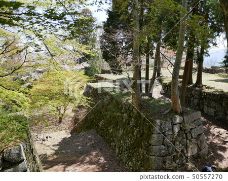 Takatori Castle本丸 Takatori Castle本丸 50557270