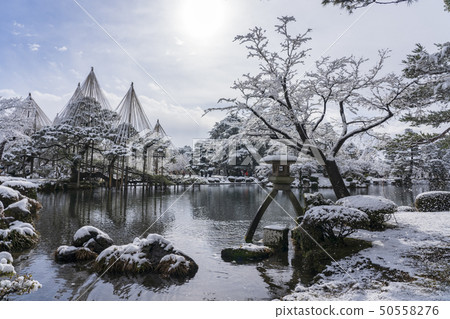 冬天的金澤之旅Snow Kenrokuen 50558276