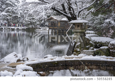 冬天的金澤之旅Snow Kenrokuen 冬天的金澤之旅Snow Kenrokuen 50558285