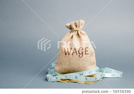 Money bag with the word Wage and tape measure Money bag with the word Wage and tape measure 50558390