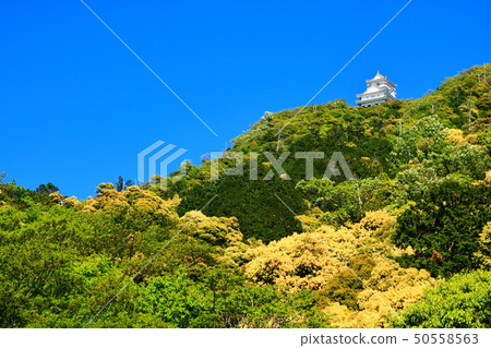 Gifu Gifu Castle and Kinburayama Tsuburajii 50558563