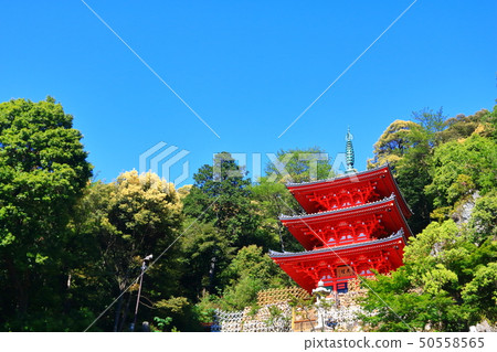 Gifu Kinkazan and the Triple Tower 50558565