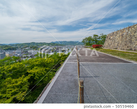 Ruins of fresh green Tsuyama Castle 50559460