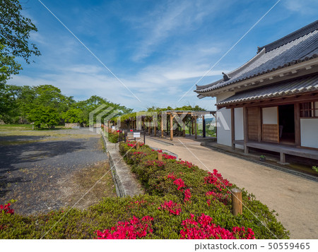 Wisteria shelf of the fresh green Tsuyama castle ruins 50559465