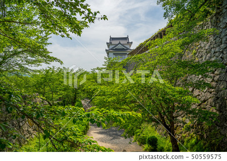 Ruins of fresh green Tsuyama Castle 50559575