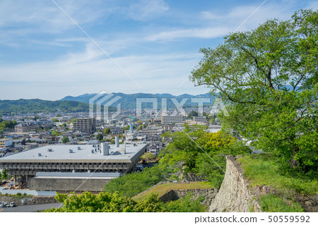 Ruins of fresh green Tsuyama Castle 50559592