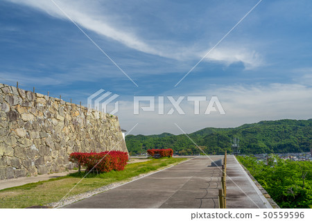 Ruins of fresh green Tsuyama Castle 50559596