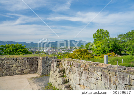 Ruins of fresh green Tsuyama Castle Ruins of fresh green Tsuyama Castle 50559637