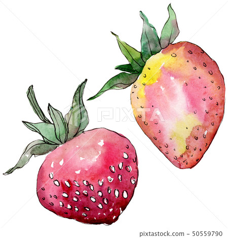 Strawberry healthy food in a watercolor style isolated. Watercolour background set. Isolated berry Strawberry healthy food in a watercolor style isolated. Watercolour background set. Isolated berry 50559790