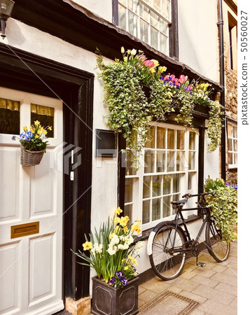 英國裝飾花2 50560027