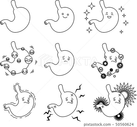 Stomach stomach bag organ human body health care 50560624