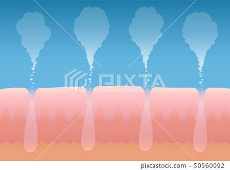 Skin Breathing Human Cutaneous Respiration 50560992
