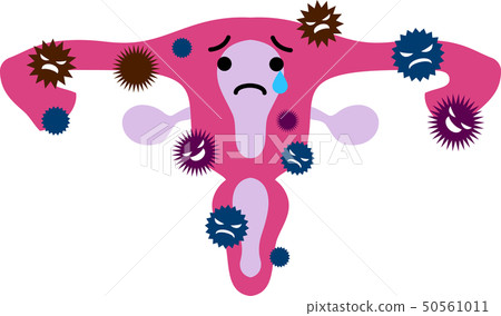 Uterus placenta human body organs illustrations cute 50561011