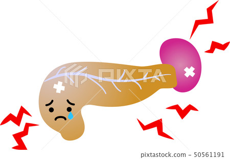 Pancreas Spleen Duodenal Health Care Human Body Organ Illustration 50561191