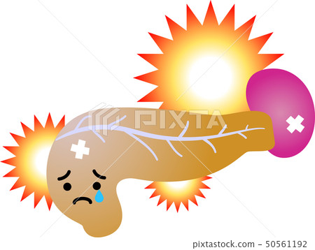 Pancreas Spleen Duodenal Health Care Human Body Organ Illustration 50561192
