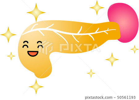 胰腺脾十二指腸醫療保健人體器官例證 50561193