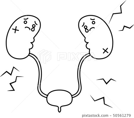 Kidney bladder organ human health care cute illustration Kidney bladder organ human health care cute illustration 50561279