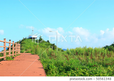 日出海岸，海岸，散步， 50561348
