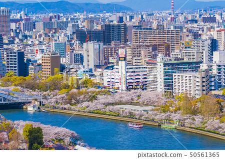 Osaka Spring Sakuranomiya Mint walk through 50561365
