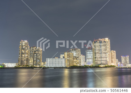 東京丰洲夜景 50561446