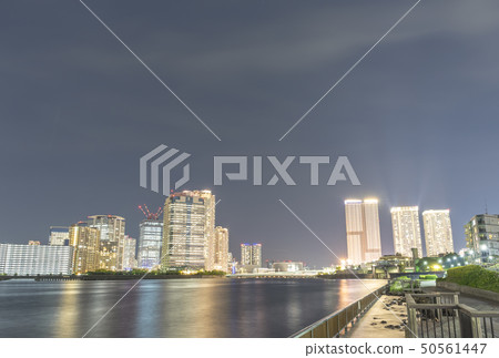 東京丰洲，朝Harumi的夜景 50561447