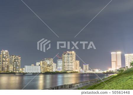 東京丰洲夜景 50561448