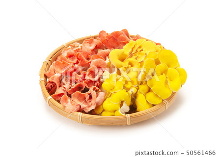 Tamogitake和Tokiirohiratake 50561466