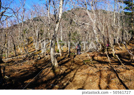 Mountain trail to the Omine Mountains Emeishan 50561727