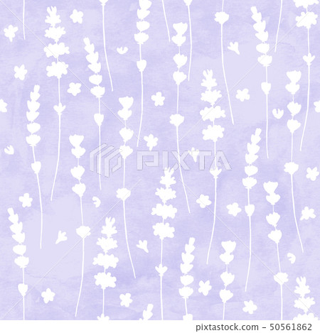 Lavender flowers white silhouettes seamless Lavender flowers white silhouettes seamless 50561862