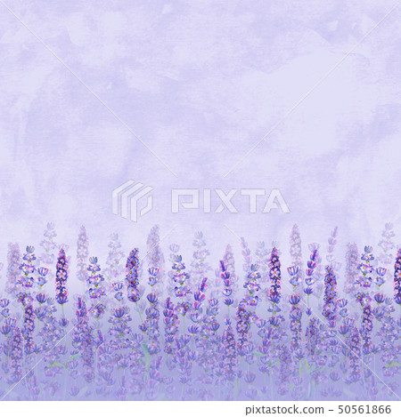 Lavender field pattern on purple background. Lavender field pattern on purple background. 50561866
