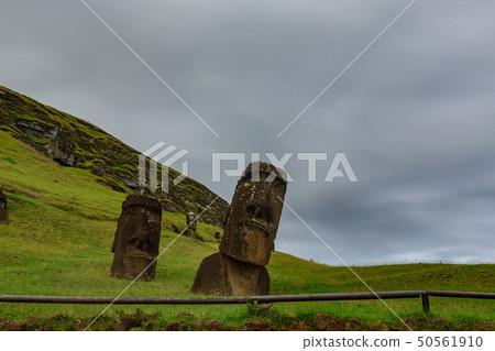 Crooked Moai in quarry bottom view, Rapa Nui Crooked Moai in quarry bottom view, Rapa Nui 50561910