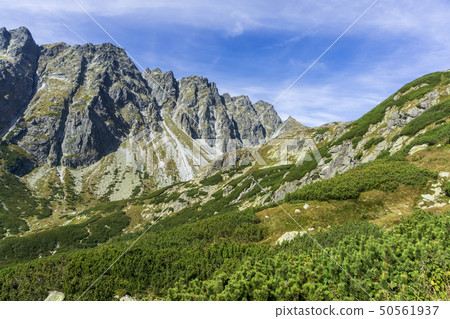 A beautiful landscape of Mengusovska dolina. High 50561937