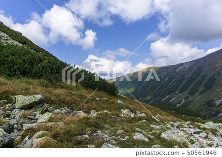 A beautiful view of the Western Tatra Mountains. 50561946