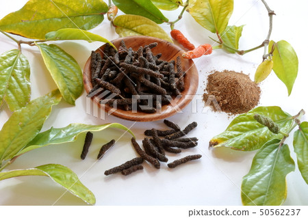 Hihatsu powder image Hihatsu powder image 50562237