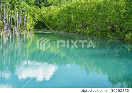 Blue pond reflected by clouds and sky (Hokkaido, Mikasa) 50562276