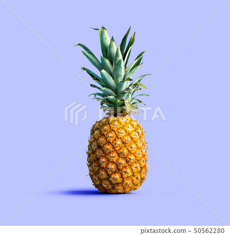 Pineapple on solid color background Pineapple on solid color background 50562280