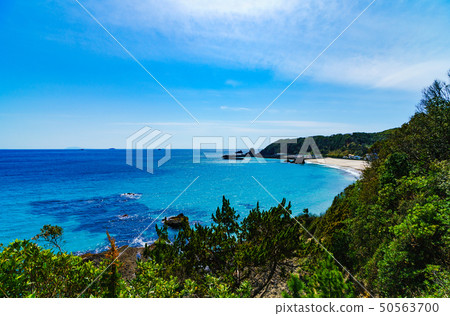 [靜岡縣]南伊豆天然稻牛海灘 50563700