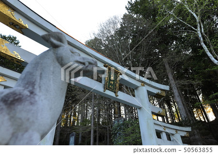 Chichibu Mitaka Shrine Mitsutori and Shiba Inu Chichibu Mitaka Shrine Mitsutori and Shiba Inu 50563855