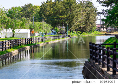 Spring water that follows the wisteria 50563901