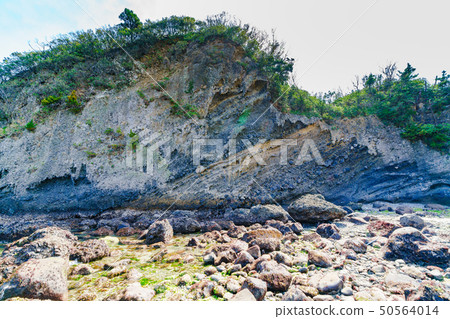 [靜岡縣]南伊豆天然大米牛 50564014