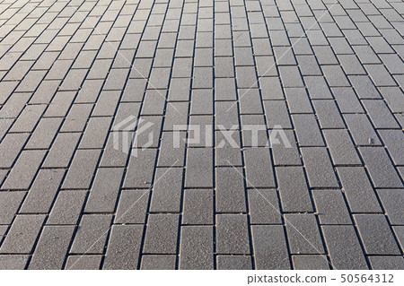 Brick pavement at cold autumn day Brick pavement at cold autumn day 50564312